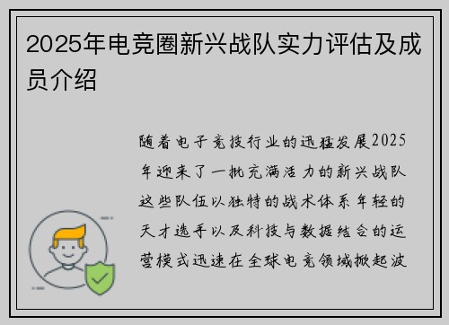 2025年电竞圈新兴战队实力评估及成员介绍
